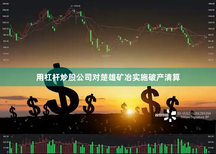 用杠杆炒股公司对楚雄矿冶实施破产清算