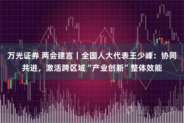 万光证券 两会建言｜全国人大代表王少峰：协同共进，激活跨区域“产业创新”整体效能