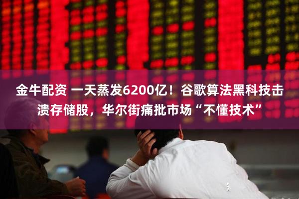 金牛配资 一天蒸发6200亿!谷歌算法黑科技击溃存储股,华尔街痛批市场“不懂技术”